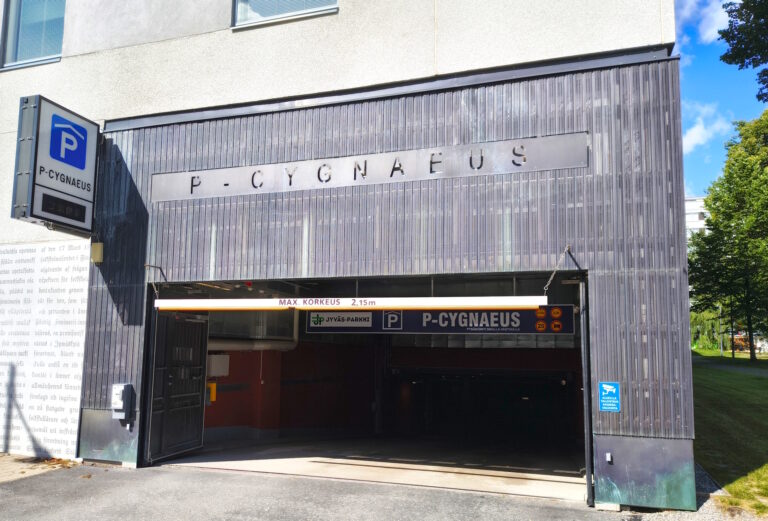 P-Cygnaeus